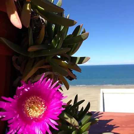 Little Paradise Margherita Di Savoia